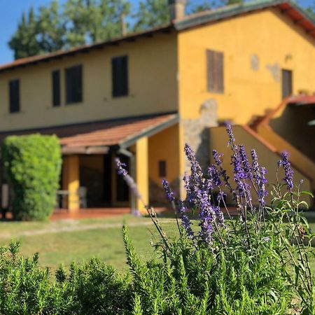 Agriturismo Santa Lorica Sassetta Eksteriør bilde