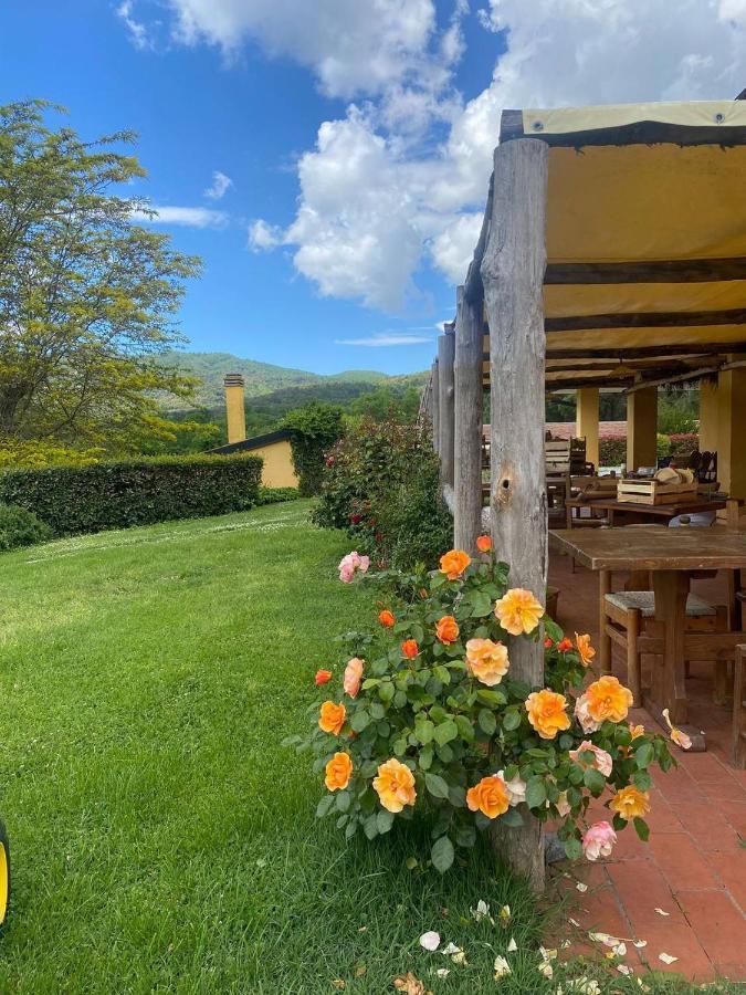 Agriturismo Santa Lorica Sassetta Eksteriør bilde