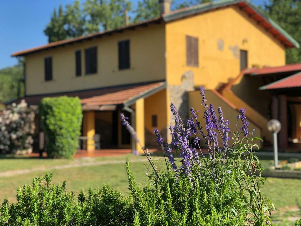 Agriturismo Santa Lorica Sassetta Eksteriør bilde