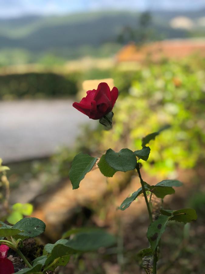 Agriturismo Santa Lorica Sassetta Eksteriør bilde
